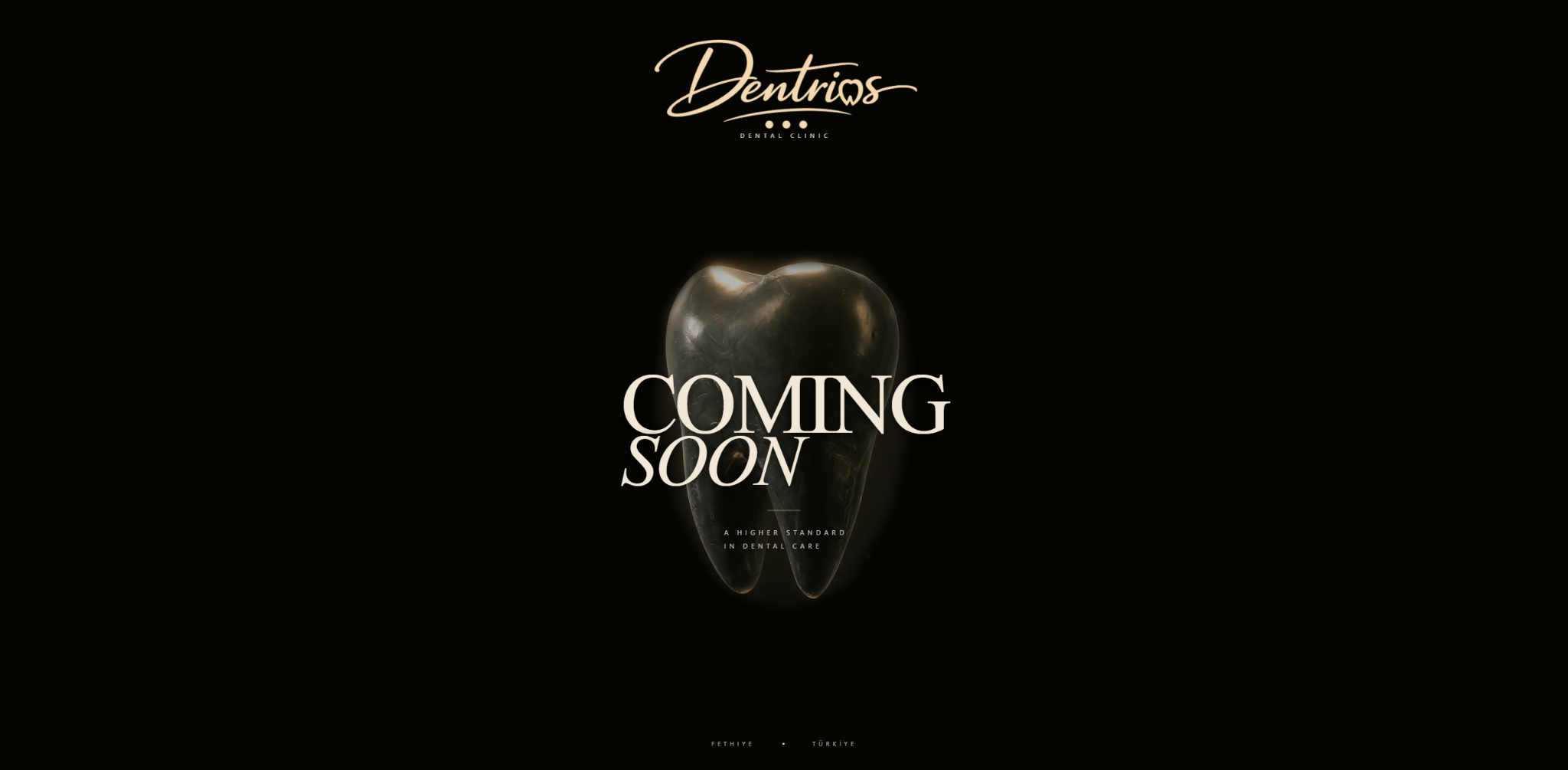 Dental Clinic Website homepage preview